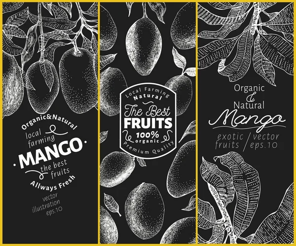 Mango fruit banner set. Hand drawn vector fruit illustration on chalk board. Engraved style vintage exotic background. Vector Graphics