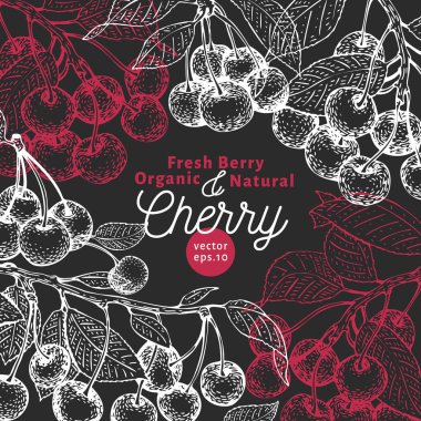 Kiraz berry tasarım şablonu. El vektör meyve illüstrasyon tebeşir tahtaya çekilmiş. Oyulmuş tarzı vintage botanik arka plan.