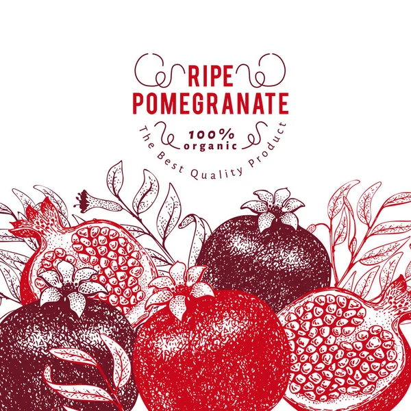 Pomegranate fruit design template. Hand drawn vector fruit illustration. Engraved style vintage botanical background. — Stock Vector