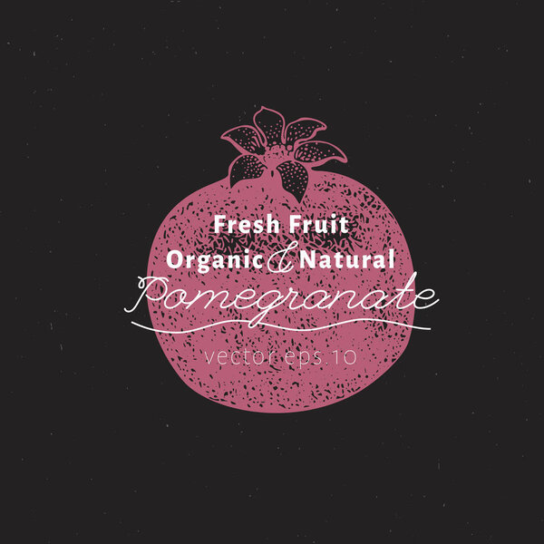 Pomegranate fruit. Hand drawn vector fruit illustration on chalk board. Engraved style vintage botanical illustration.