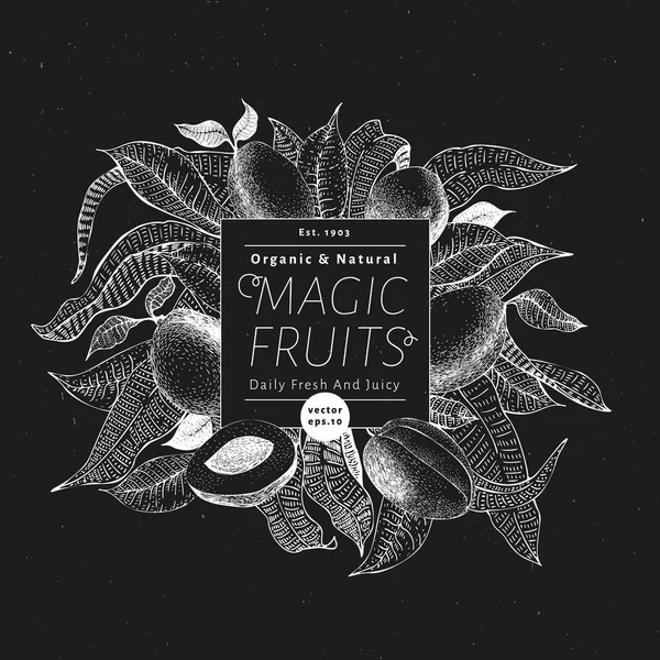 Modèle de bannière de fruits de mangue. Illustration de fruits vectoriels dessinée à la main sur panneau de craie. Style gravé vintage fond exotique . — Image vectorielle