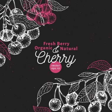Kiraz berry tasarım şablonu. El vektör meyve illüstrasyon tebeşir tahtaya çekilmiş. Oyulmuş tarzı vintage botanik arka plan.