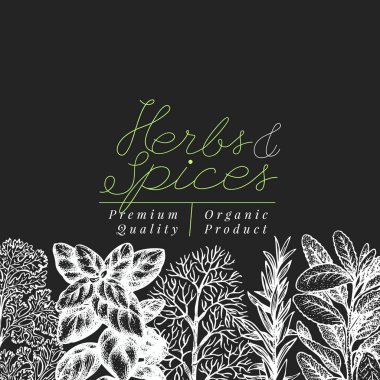 Mutfak otlar ve baharatlar banner şablon. Tasarım menüsünden, paketleme, yemek tarifleri, etiket, tarım Pazar ürünleri için vektör arka plan. El vintage botanik illüstrasyon tebeşir tahtaya çekilmiş..