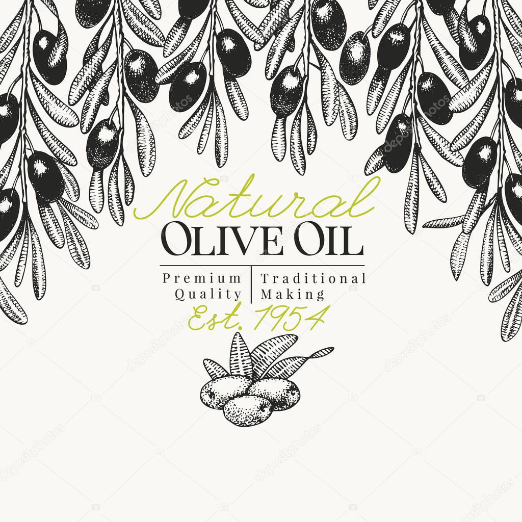 Olive tree banner template. Vector vintage illustration. Hand drawn engraved style background. Design for olive oil, olive packaging, natural cosmetics, health care products. Retro style image.