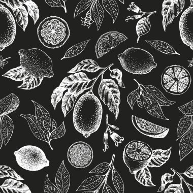 Limon ağacı seamless modeli. El vektör meyve illüstrasyon tebeşir tahtaya çekilmiş. Oyulmuş tarzı. Vintage narenciye arka plan.