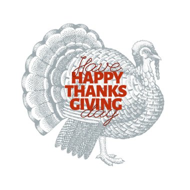 Mutlu Şükran günü tasarım şablonu. Türkiye illüstrasyon vektör el çekilmiş. Şükran günü kartı retro tarzında tebrik.