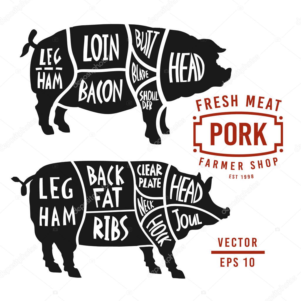 Meat cuts of pork. Vector pig silhouette isolated on white background. Vintage Poster for butcher shop. Poster pork cutting scheme lettering in vintage style.