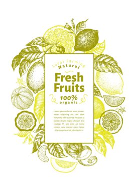 Vintage narenciye banner şablon. Limon ağacı tasarım. El vektör meyve resimde çekilmiş. Oyulmuş stil menü kapak.