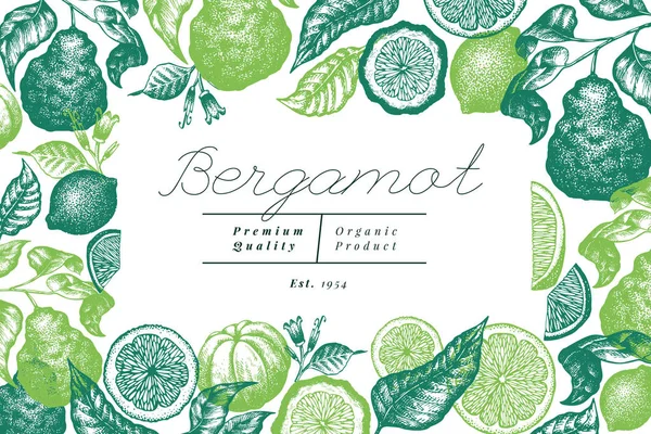 Templat desain cabang Bergamot. Bingkai jeruk nipis Kaffir. Ilustrasi buah vektor gambar tangan. Latar belakang sitrus gaya lama terukir . - Stok Vektor