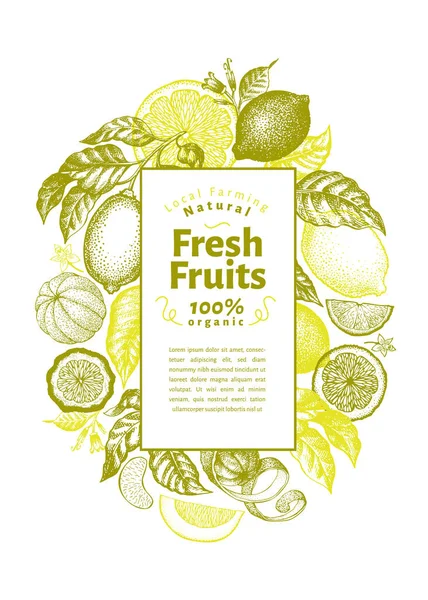 Vintage citrus banner mall. Lemon tree design. Hand dras vektorillustration frukt. Graverade stil menyn cover. — Stock vektor