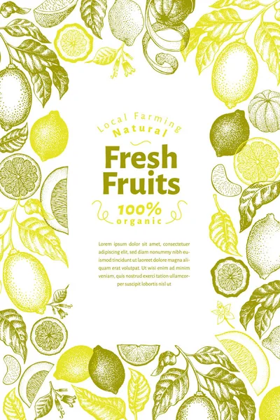 Vintage citrus banner mall. Lemon tree design. Hand dras vektorillustration frukt. Graverade stil menyn cover. — Stock vektor