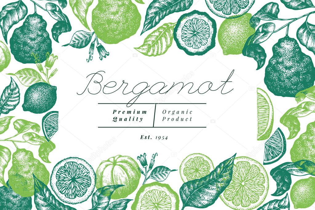 Bergamot branch design template. Kaffir lime frame. Hand drawn vector fruit illustration. Engraved style vintage citrus background.