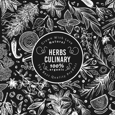 Mutfak otlar ve baharatlar banner şablon. Tasarım menüsünden, paketleme, yemek tarifleri, etiket, tarım Pazar ürünleri için vektör arka plan. El vintage botanik illüstrasyon tebeşir tahtaya çekilmiş..