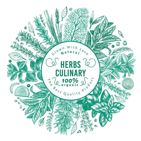 Culinary herbs and spices banner template. Vector background for design menu, packaging, recipes, label, farm market products. Hand drawn vintage botanical illustration.