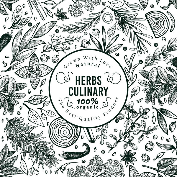 Culinary herbs and spices banner template. Vector background for design menu, packaging, recipes, label, farm market products. Hand drawn vintage botanical illustration.