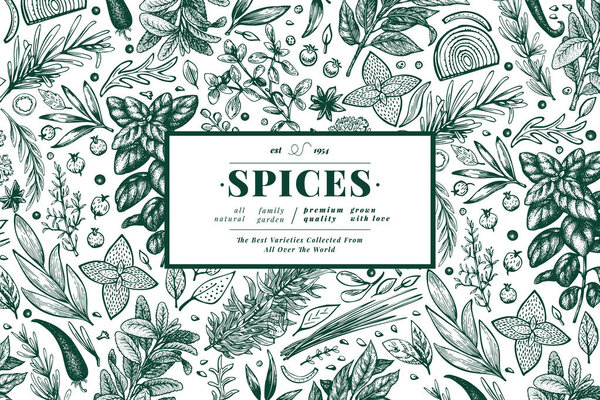 Culinary herbs and spices banner template. Vector background for design menu, packaging, recipes, label, farm market products. Hand drawn vintage botanical illustration.