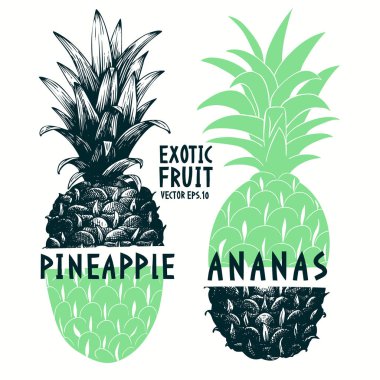 Kolaj çizilmiş ananas ver. Stil illüstrasyon vektör tropikal yaz meyve kazınmış. Adversiting, ambalaj, tebrik kartları, posterler kullanmak olabilir.