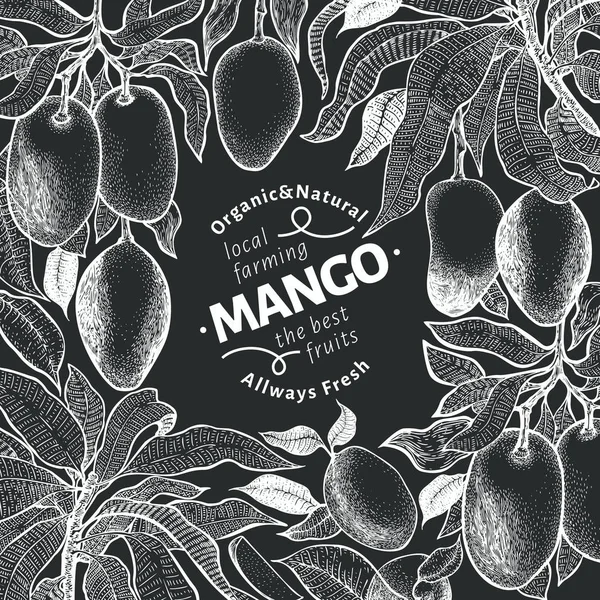 Mango albero modello di design vintage. Frutto botanico al mango. Mango inciso. Illustrazione vettoriale su tavola di gesso — Vettoriale Stock