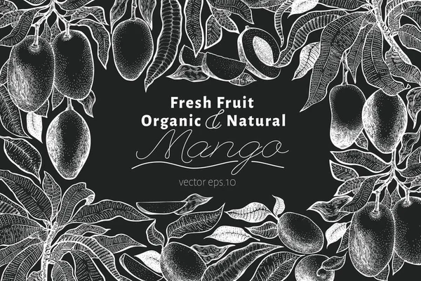 Mango tree vintage design template. Botanical mango fruit frame. Engraved mango. Vector illustration on chalk board Stock Illustration