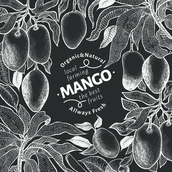 Mango tree vintage design template. Botanical mango fruit frame. Engraved mango. Vector illustration on chalk board Vector Graphics