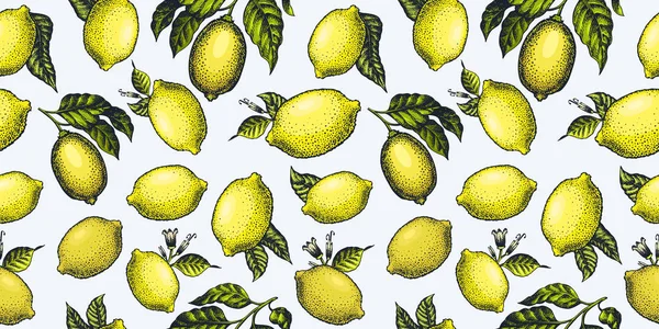 Patrón sin costuras de limón. Ilustración de frutas vectoriales dibujadas a mano. En — Vector de stock