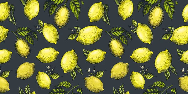 Patrón sin costuras de limón. Dibujado a mano vector fruta ilustración en — Archivo Imágenes Vectoriales