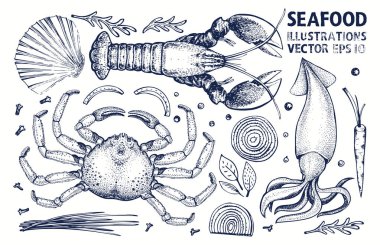 Seafood and spices vector set. Vintage hand drawn illustrations. clipart