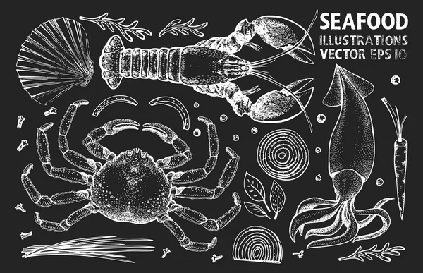 Set vettore di frutti di mare e spezie. Illustrazioni disegnate a mano vintage — Vettoriale Stock