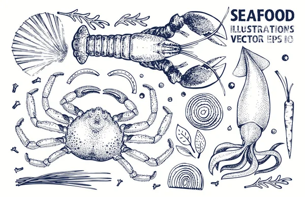 Conjunto vetorial de frutos do mar e especiarias. Vintage mão desenhada ilustrações . — Vetor de Stock