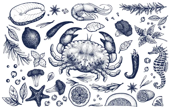 Conjunto vetorial de frutos do mar e especiarias. Vintage mão desenhada ilustrações . — Vetor de Stock