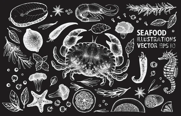 Set vettore di frutti di mare e spezie. Illustrazioni disegnate a mano vintage — Vettoriale Stock