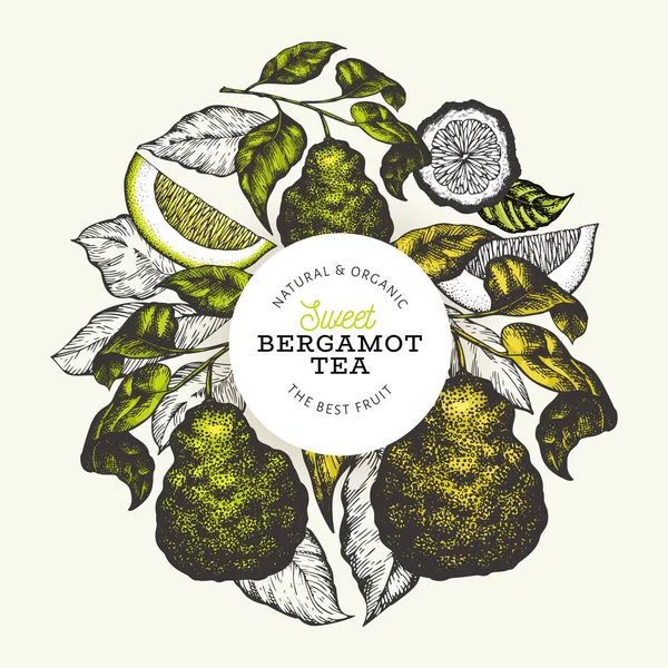 Modelo de design de ramo Bergamot. Logotipo de limão Kaffir. Desenho à mão —  Vetores de Stock