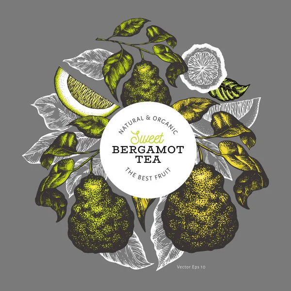 Modelo de design de ramo Bergamot. Logotipo de limão Kaffir. Desenho à mão —  Vetores de Stock