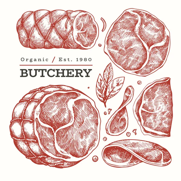 Vintage vektor kött illustration. Handritad skinka, skinka skivor, kryddor och örter. Råa livsmedelsingredienser. Retro skiss. Kan användas för etikett, restaurangmeny. — Stock vektor