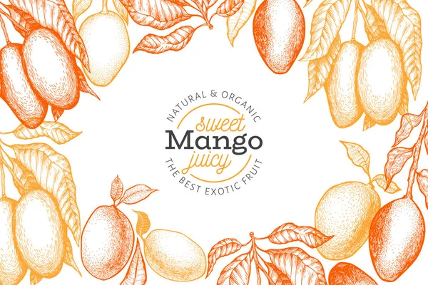 Šablona návrhu s mango. Ručně kreslenou vektorové tropického ovoce illustrati — Stockový vektor