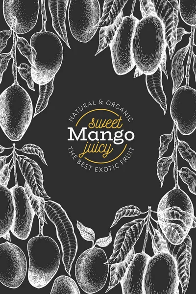 Modello di design del mango. Illustri di frutta tropicale vettoriale disegnati a mano — Vettoriale Stock