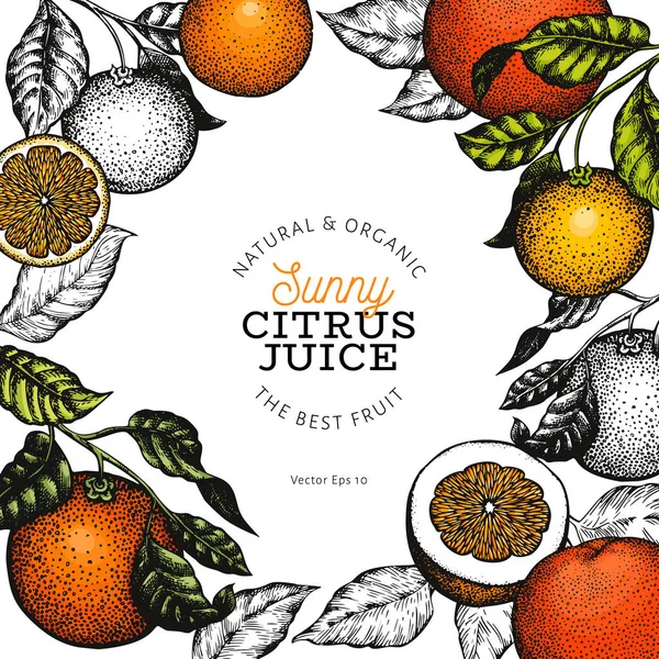 Vorlage für die Gestaltung von Orangenfrüchten. handgezeichnete Vektorfrucht-Illustrationen — Stockvektor