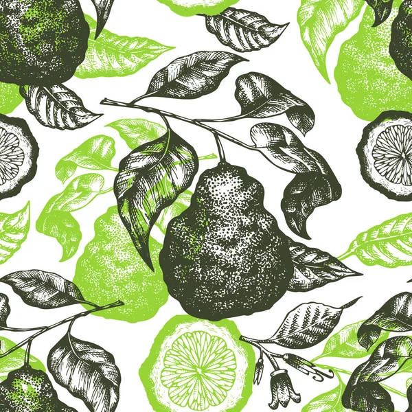 Rama Bergamota patrón sin costura. Vector dibujado a mano fruta illust — Archivo Imágenes Vectoriales