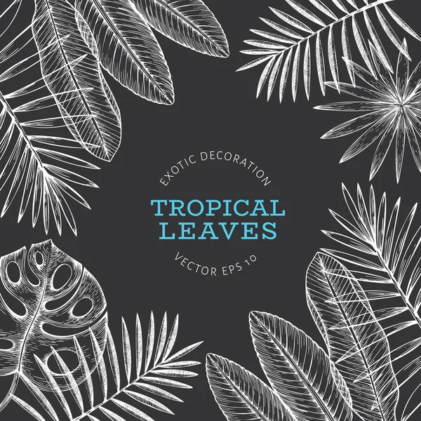Дизайн баннера тропических растений. Экзотические тропические лета — стоковый вектор