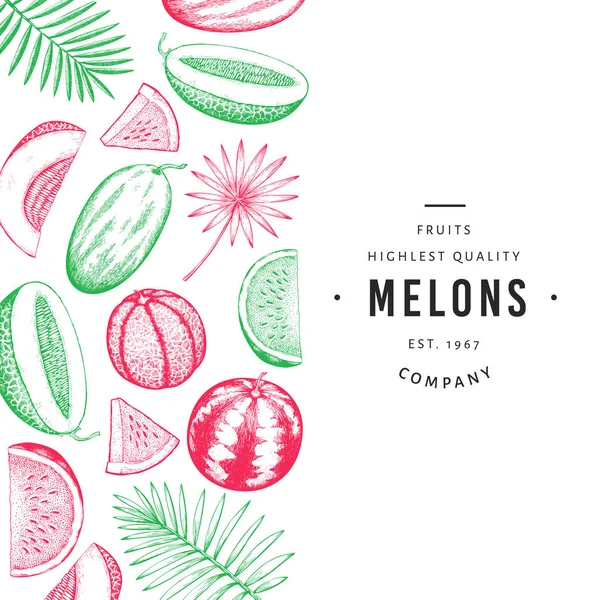 Vattenmelon, melon och tropiska löv formgivningsmall. Hand Draw — Stock vektor