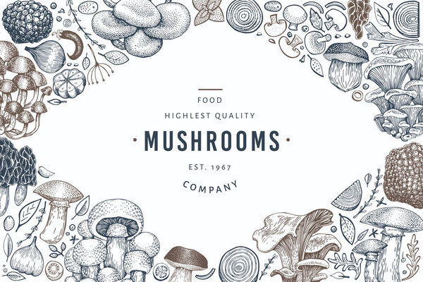 Mushroom design template. Hand drawn vector food illustration. E