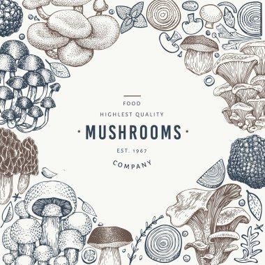 Mushroom design template. Hand drawn vector food illustration. E clipart