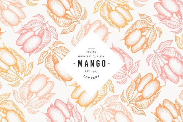 Mango formgivningsmall. Hand dras vektor tropic frukt illustrati — Stock vektor