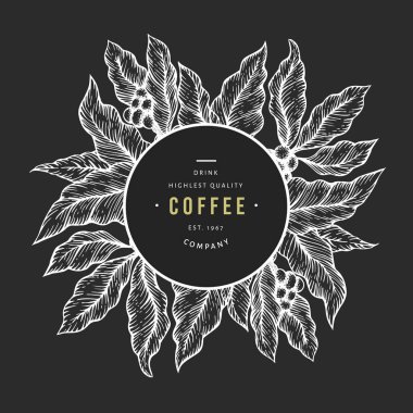 Kahve ağacı dal vektör illüstrasyon. Vintage kahve backgroun