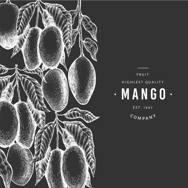 Mango banner. Kézzel rajzolt vektor egzotikus gyümölcs illusztráció Cha — Stock Vector