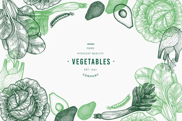 Modelo de design de vegetais verdes. Ilustração de comida vetorial desenhada à mão. Moldura vegetal estilo gravado. Banner botânico retrô . —  Vetores de Stock