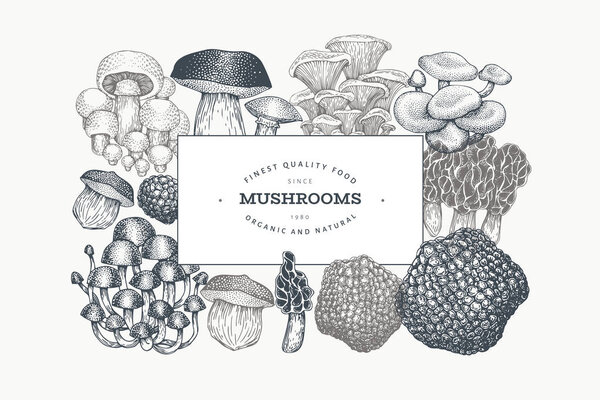 Mushrooms design template. Vector hand drawn illustrations. Mush