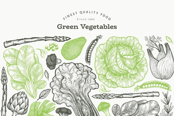 Zielone warzywa szablon projektu. Ręcznie rysowane wektor ilustr żywności — Wektor stockowy