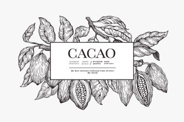 Kakao afiş şablonu. Çikolatakakao çekirdekleri arka plan. Vektör 