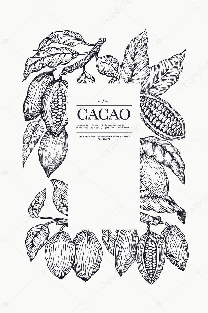 Cocoa banner template. Chocolate cocoa beans background. Vector 
